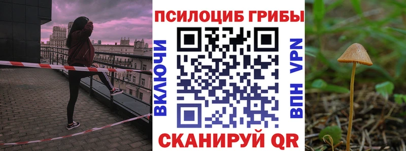 Купить где  Богородск  Галлюциногенные грибы MAGIC MUSHROOMS 